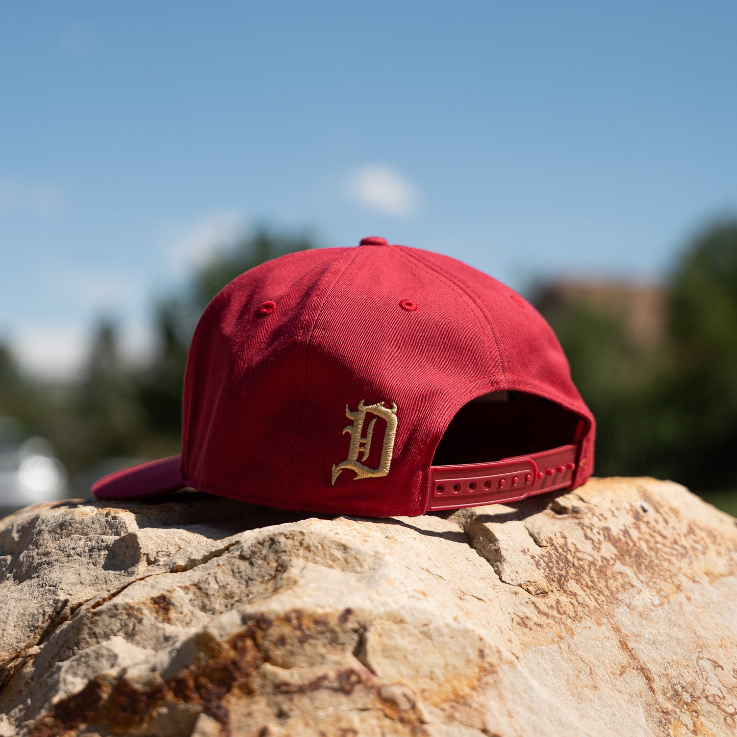 DBS Classic Block Snapback Hat