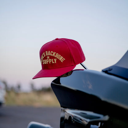 DBS Classic Snapback Hat