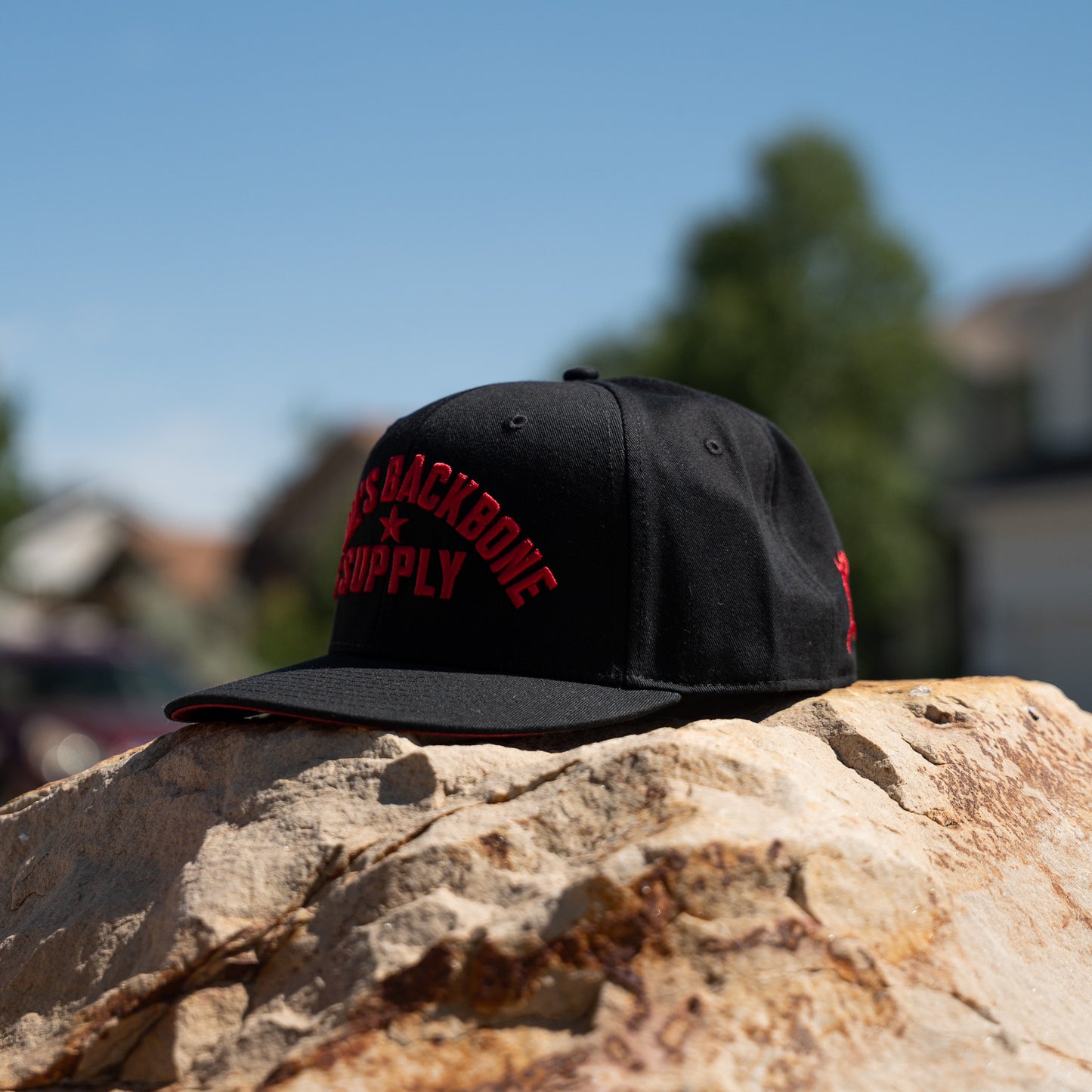 DBS Classic Block Snapback Hat
