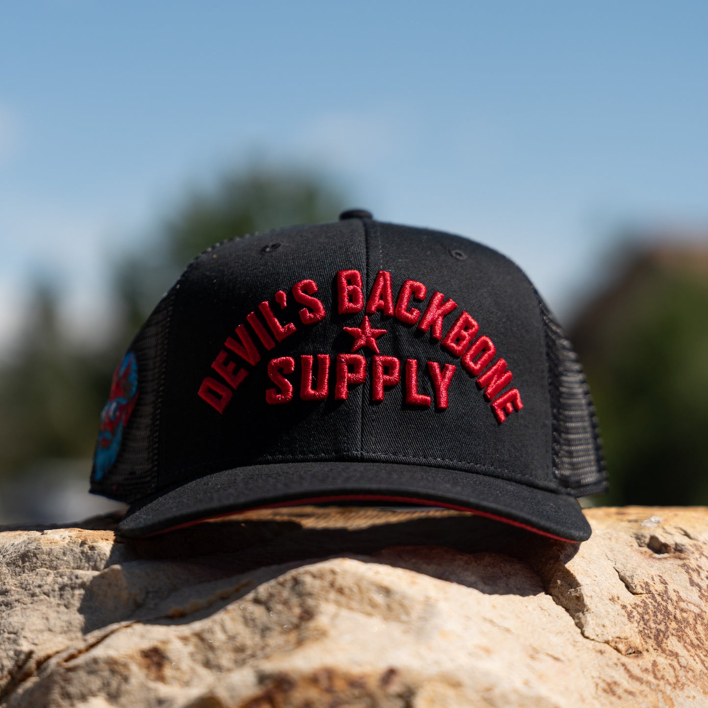 DBS Classic Block Snapback Hat