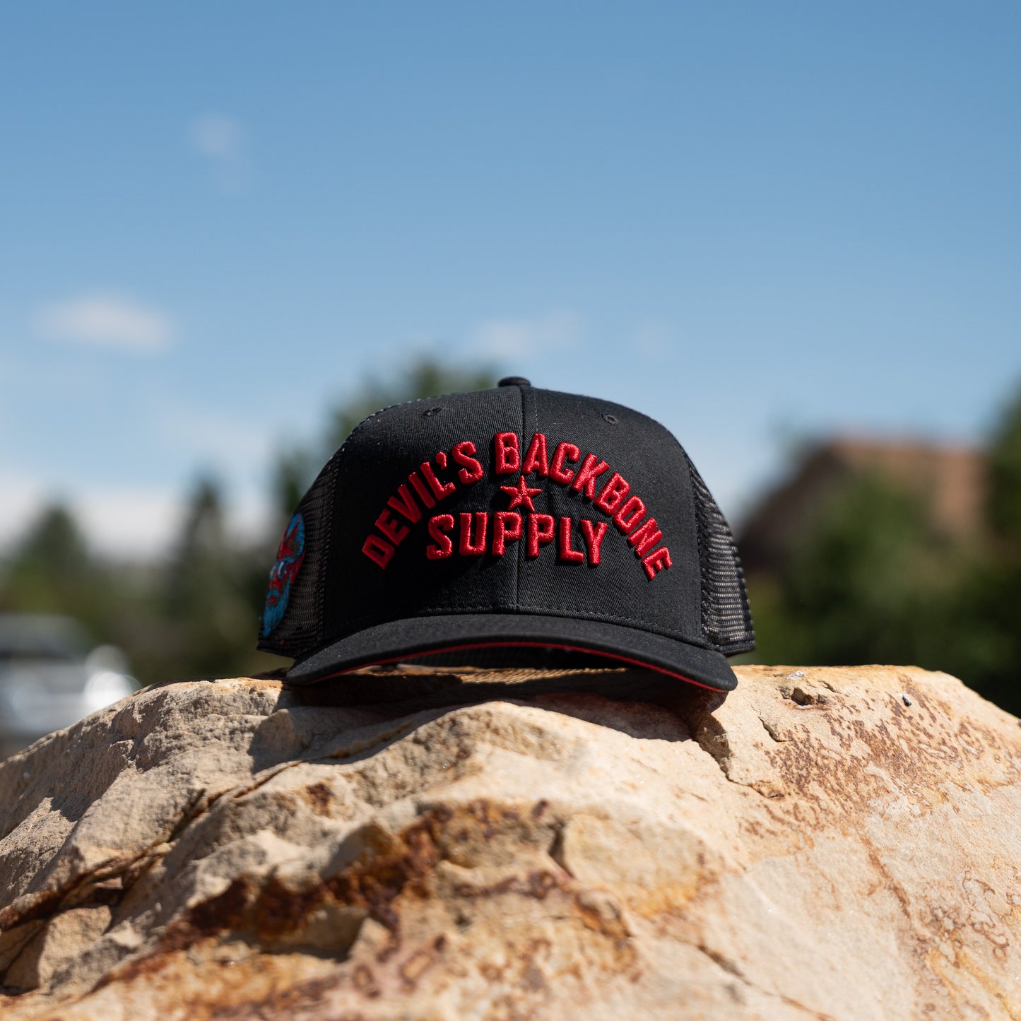 DBS Classic Block Snapback Hat