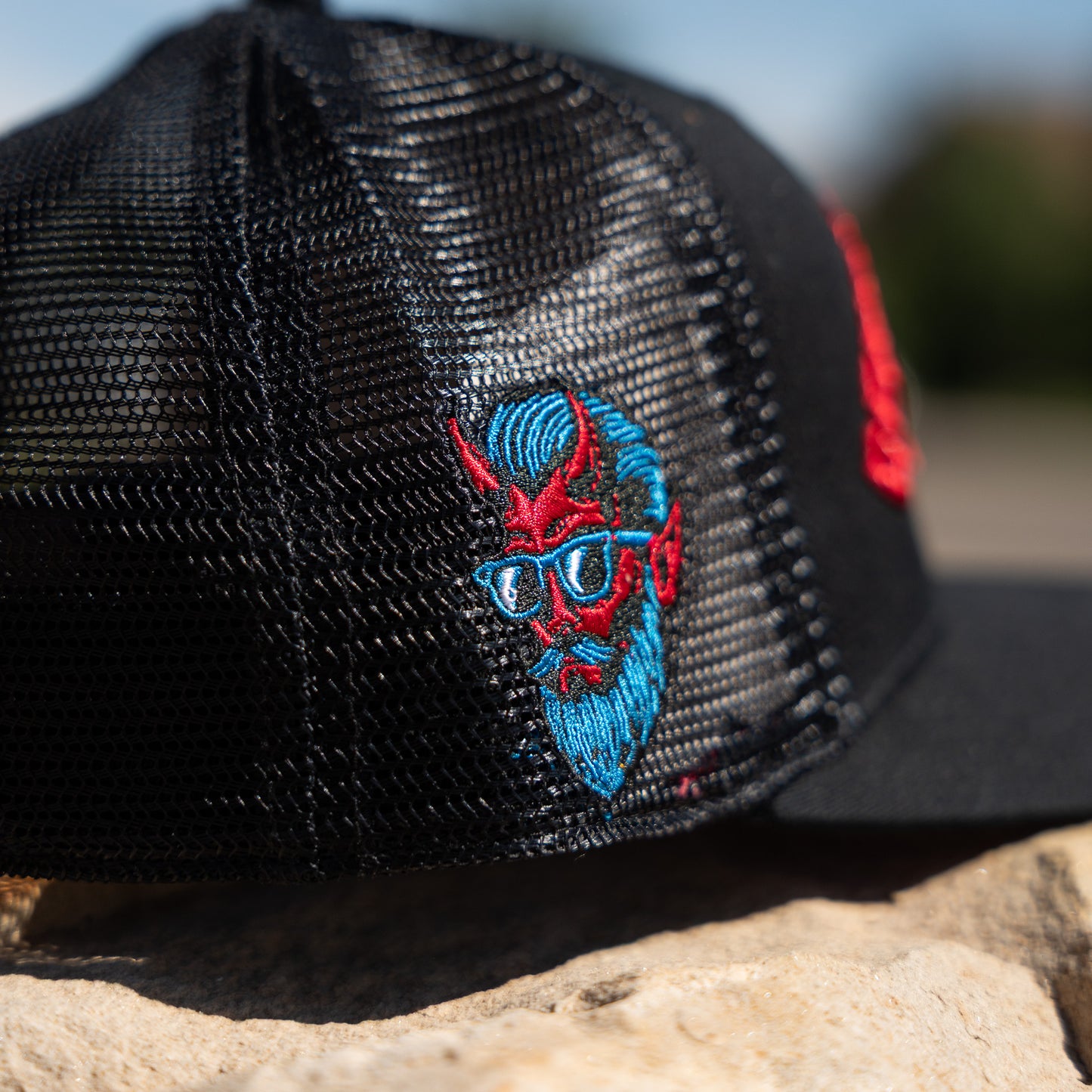 DBS Classic Block Snapback Hat
