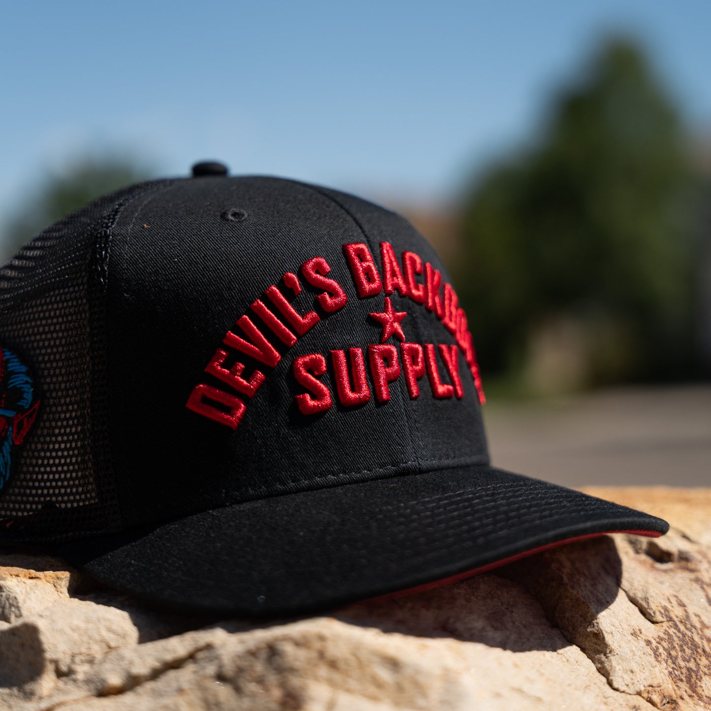 DBS Classic Block Snapback Hat