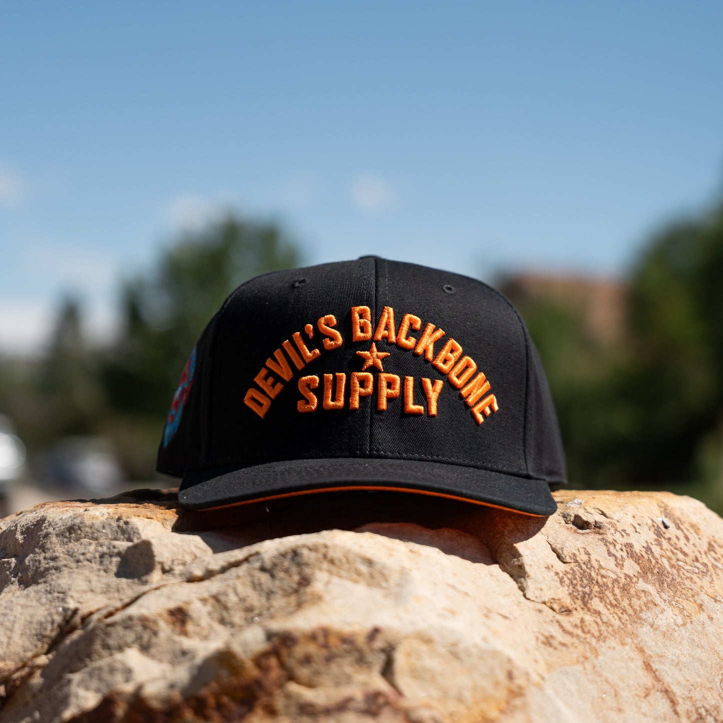 DBS Classic Block Snapback Hat