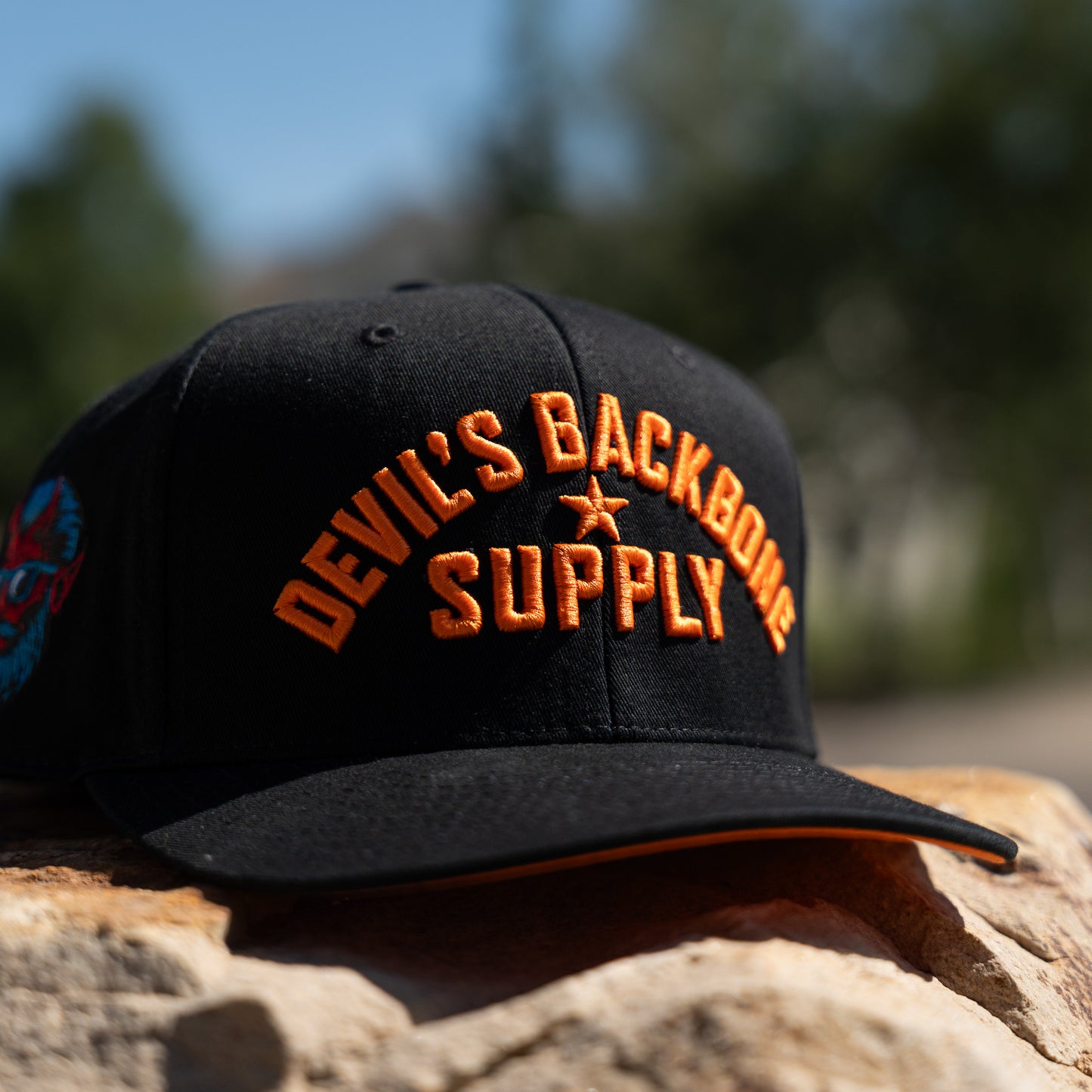 DBS Classic Block Snapback Hat