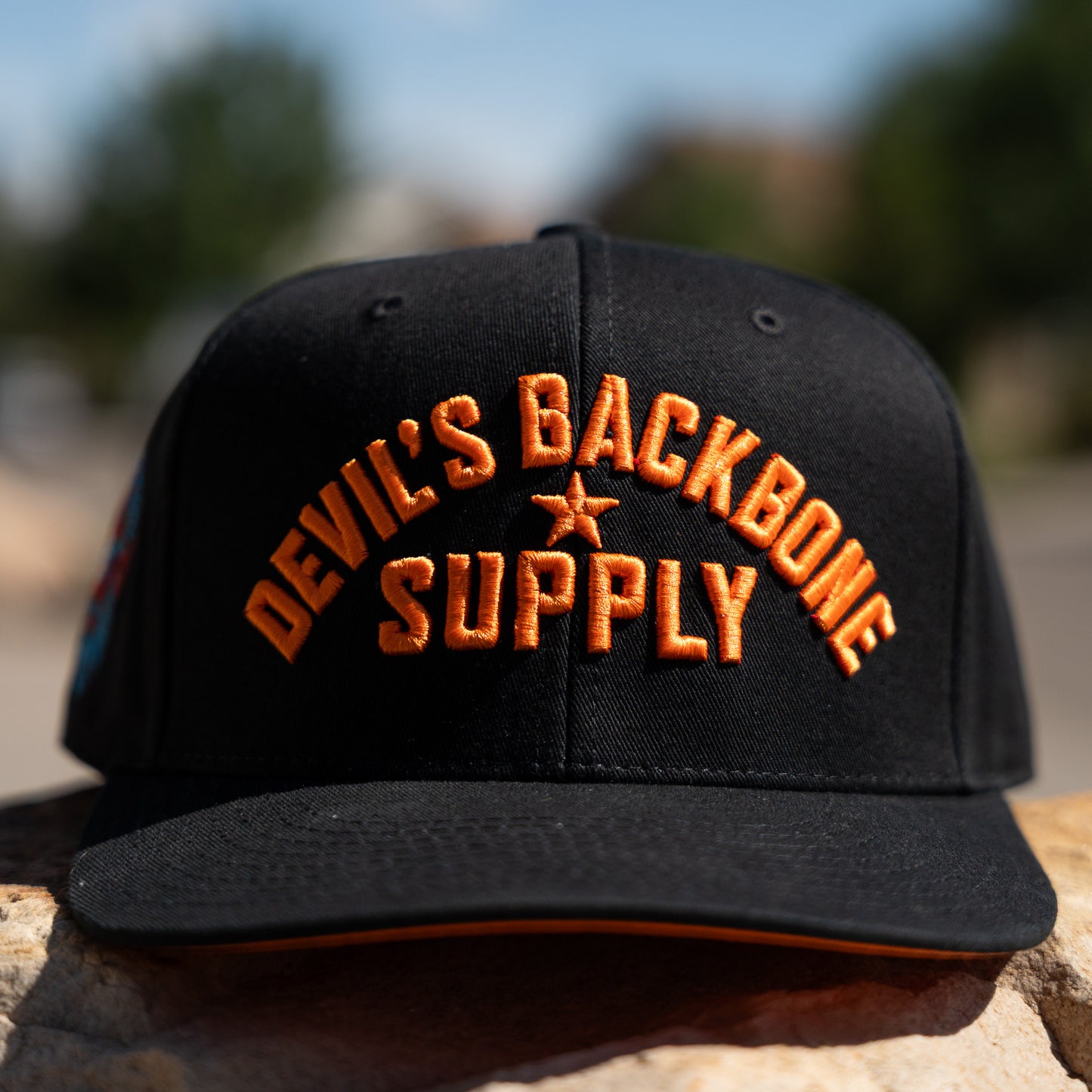 DBS Classic Block Snapback Hat