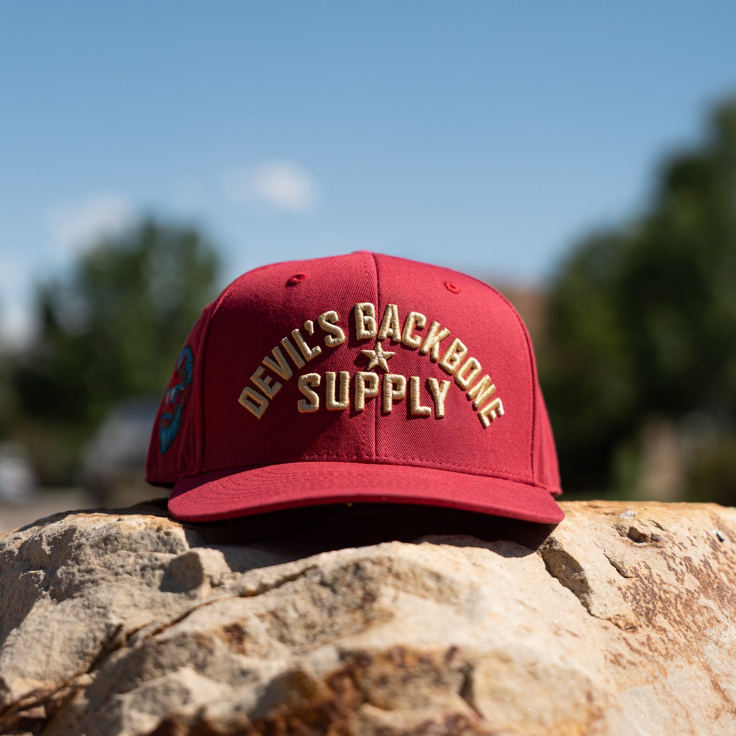 DBS Classic Block Snapback Hat
