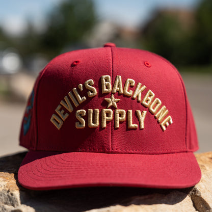 DBS Classic Block Snapback Hat