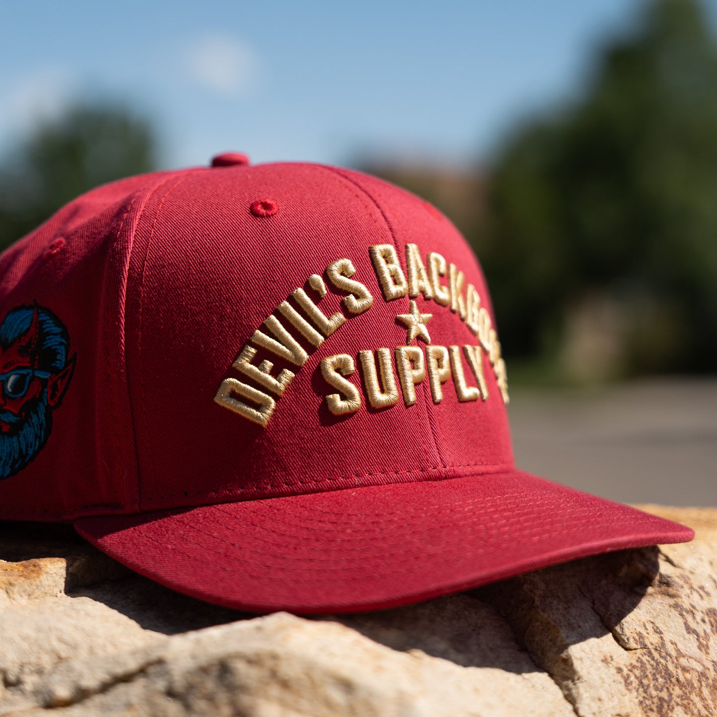 DBS Classic Block Snapback Hat