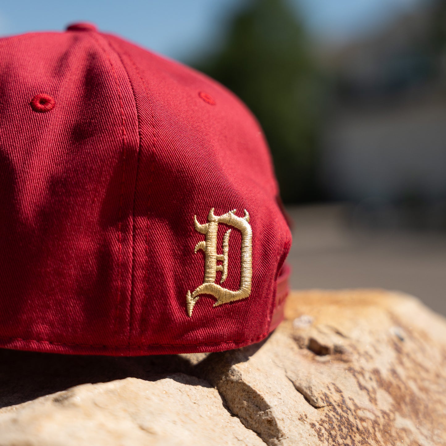 DBS Classic Block Snapback Hat